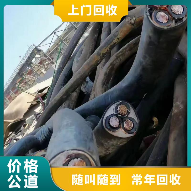 供应旧电缆回收_优质厂家