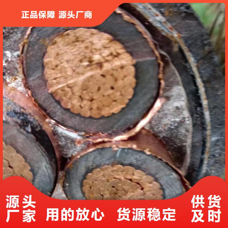 值得信赖的铜芯电缆回收多少钱一米?经销商