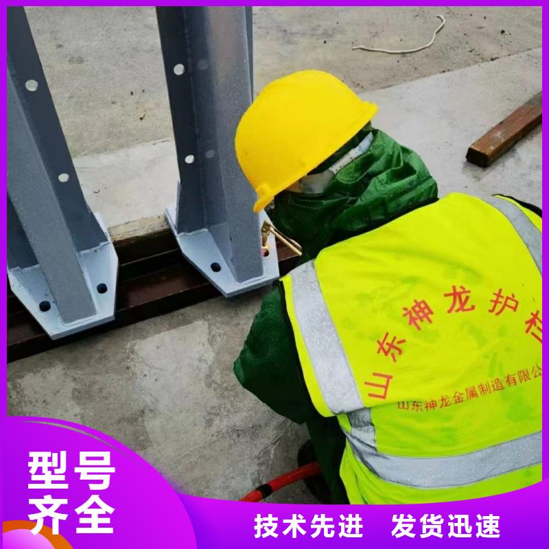 货源充足的钢制护栏实力厂家