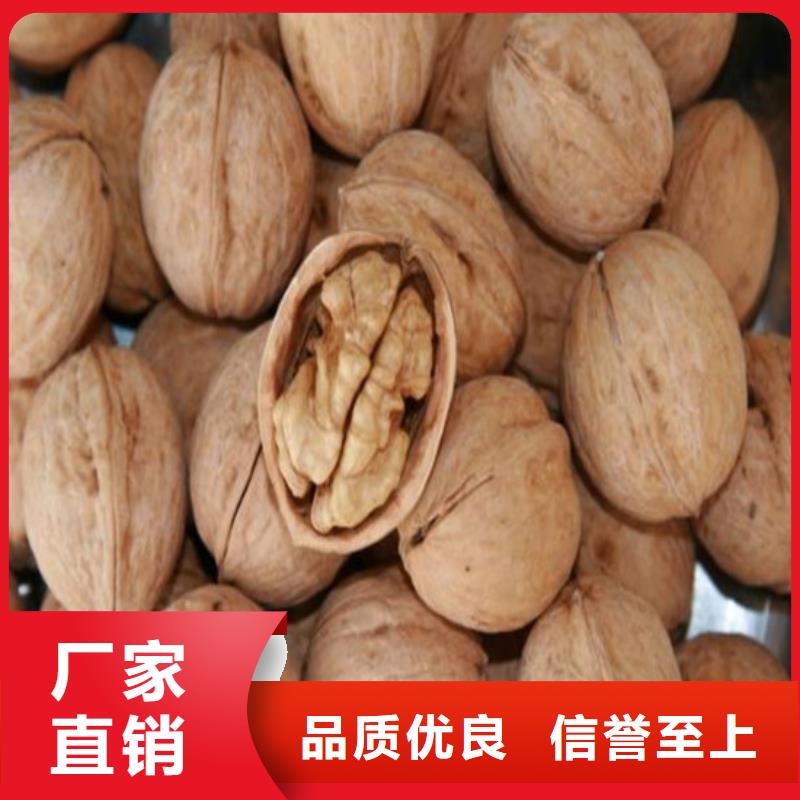 核桃苗黄宝石梨树苗匠心品质