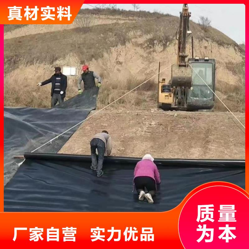 土工膜,土工格栅定制不额外收费