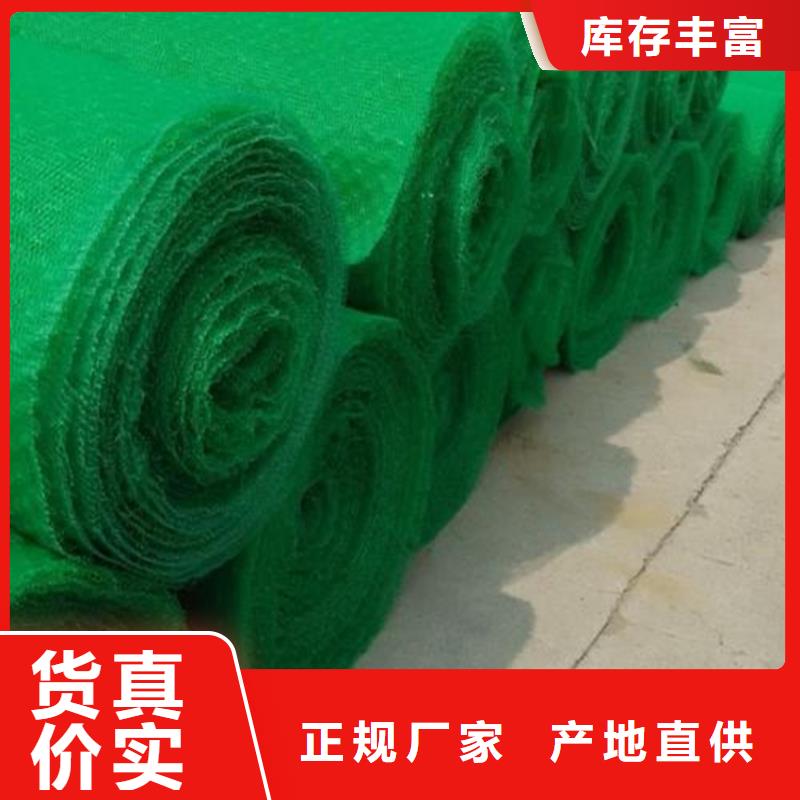 三维植被网三维土工网源厂供货