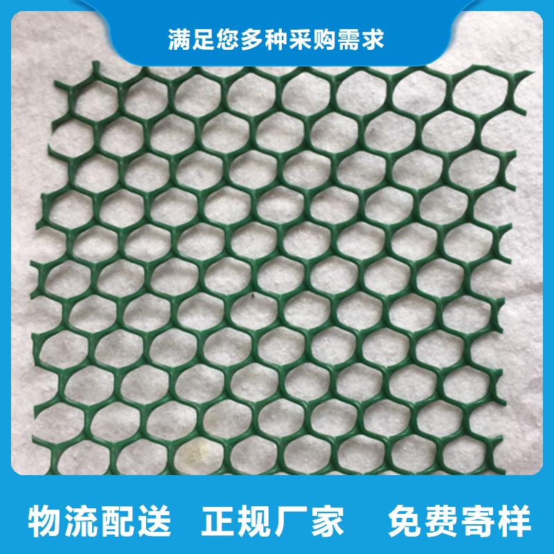 三维植被网防渗膜现货充足量大优惠