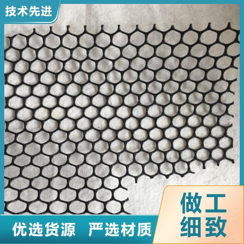 三维植被网防渗膜现货充足量大优惠
