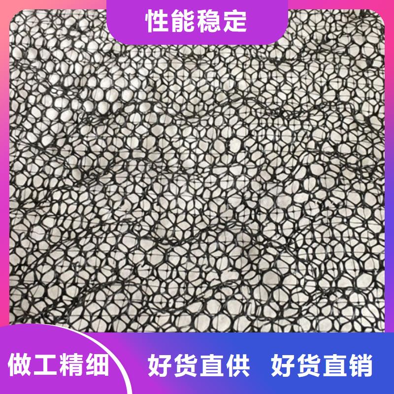 三维植被网三维土工网现货充足量大优惠
