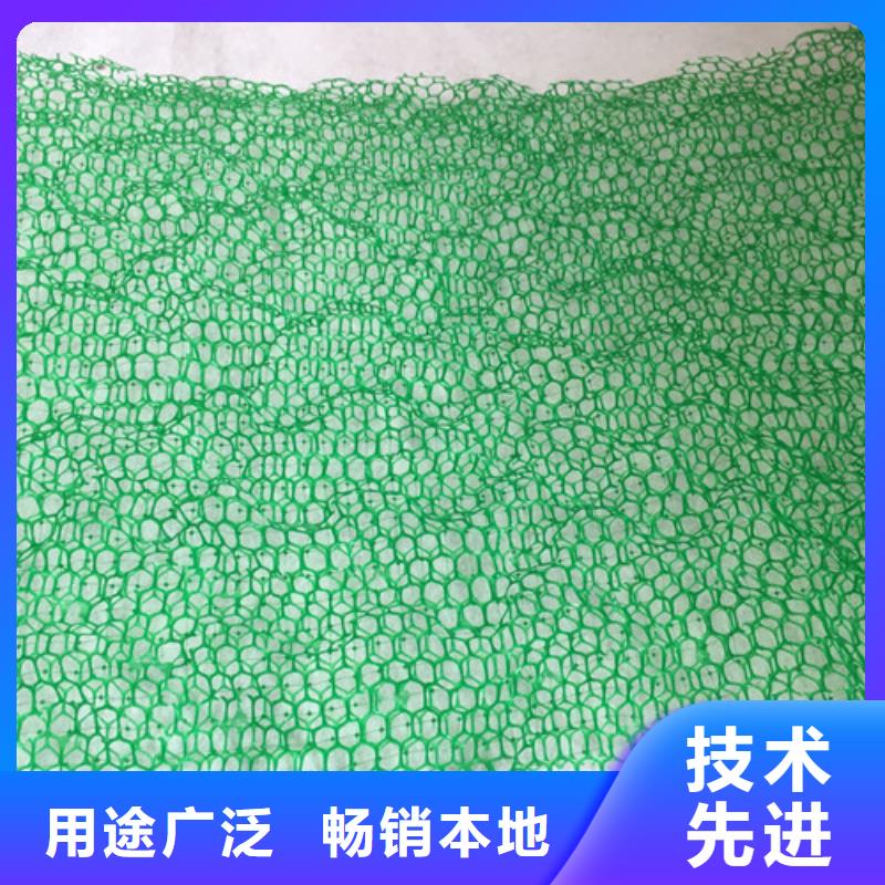 三维植被网土工网细节严格凸显品质