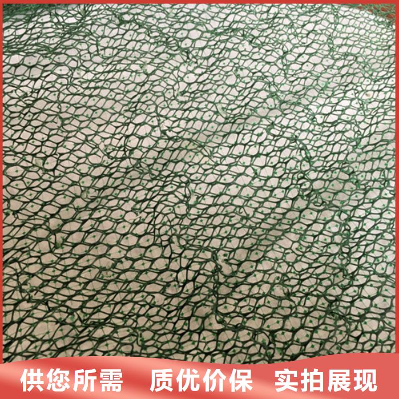 三维植被网防渗膜现货充足量大优惠