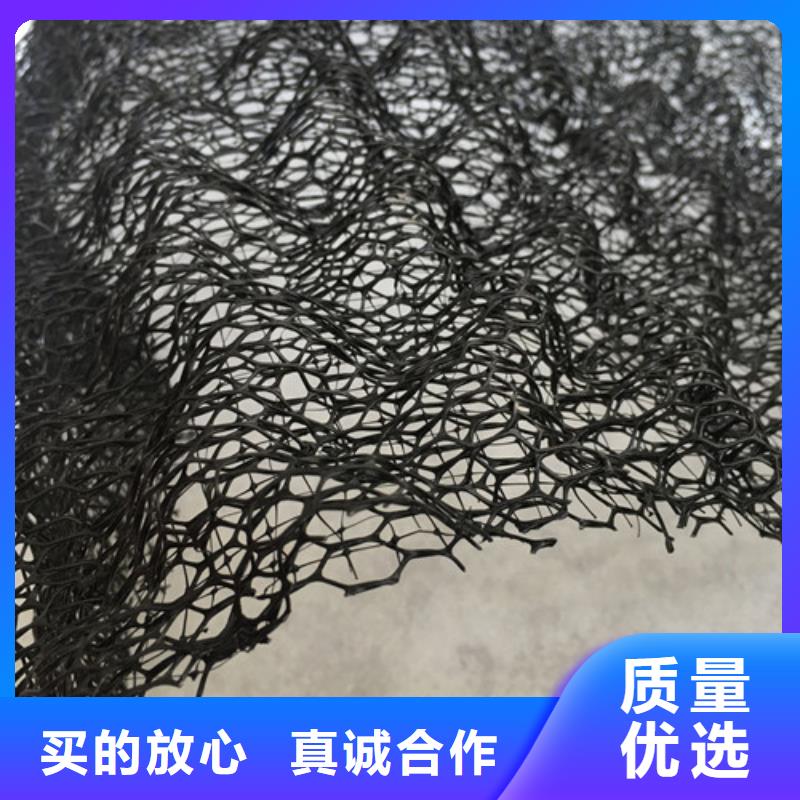三维植被网,三维土工网保质保量