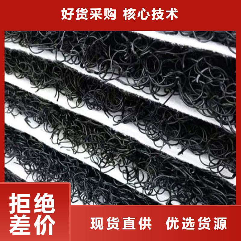 丝状RCP渗排水网垫