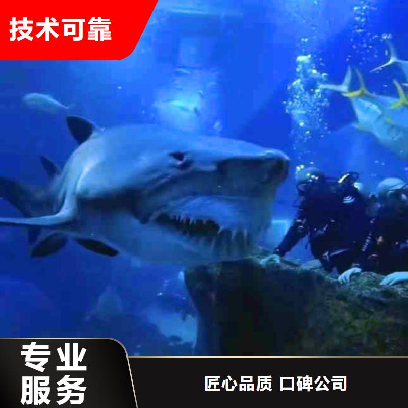 潜水员服务 隧道漏水施工欢迎询价