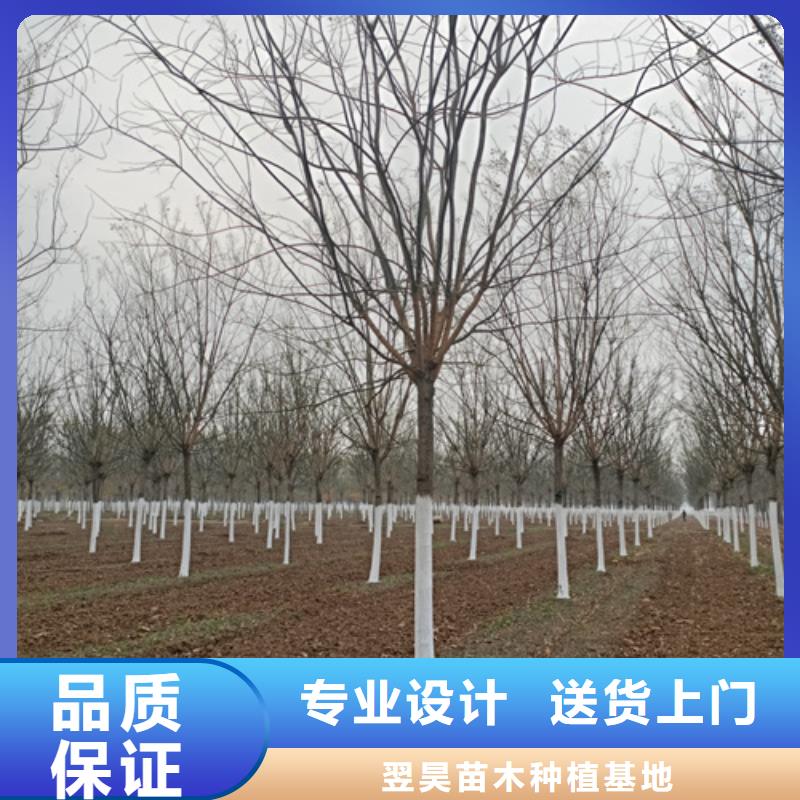 法桐期待您的咨询