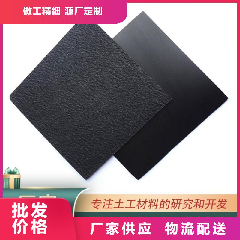 土工膜塑料格栅规格齐全实力厂家
