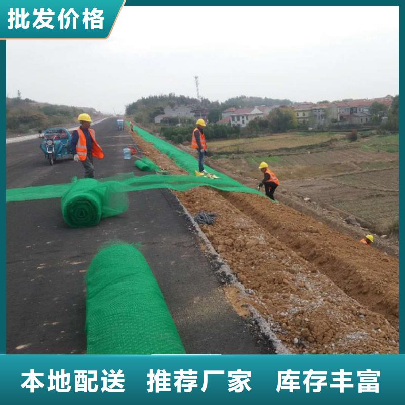 三维土工网垫-EM2三维植被网