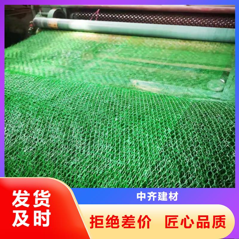 三维植被网 涤纶格栅现货直发