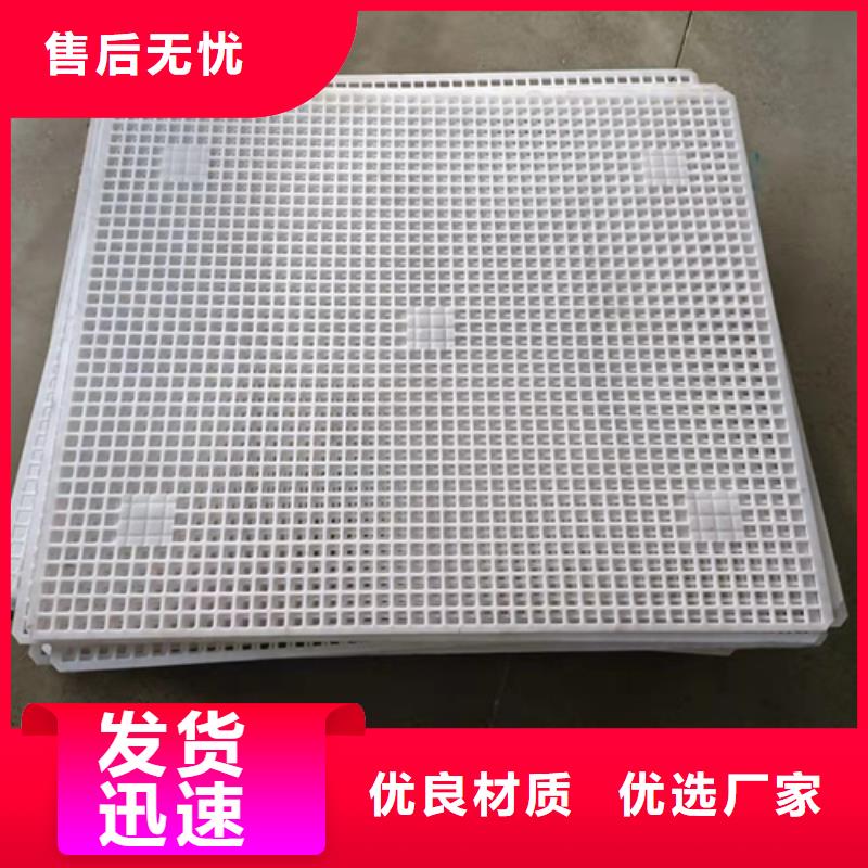 塑料垫板有味道怎么办价格|厂家