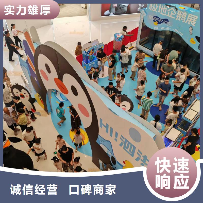 质优价廉的企鹅出租基地