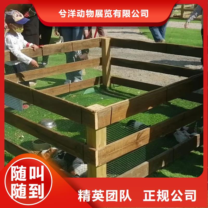 大飞轮表演出租一手资源