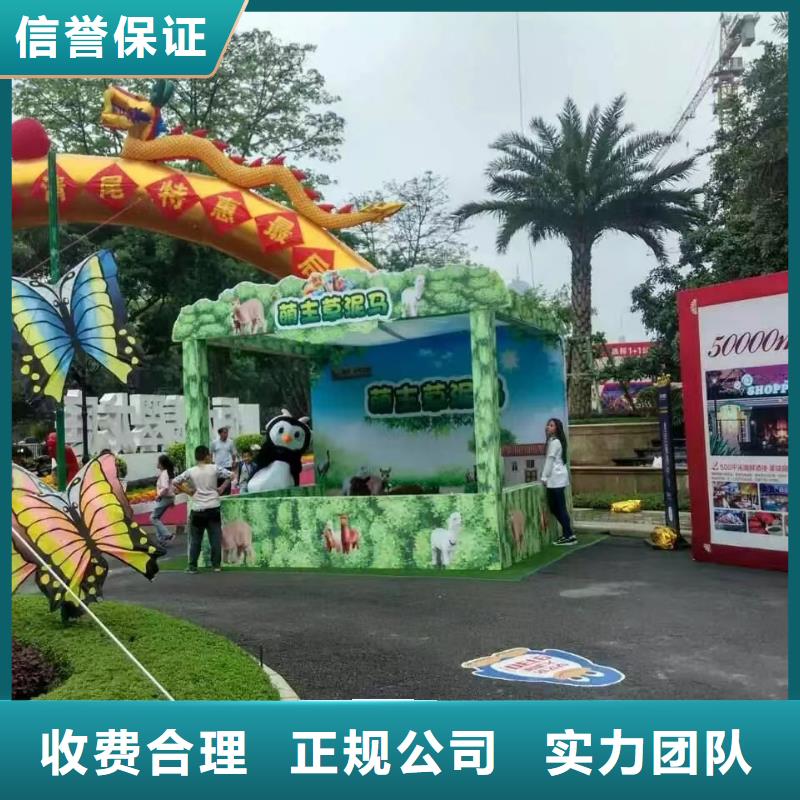 马戏团/羊驼-表演动物出租技术精湛