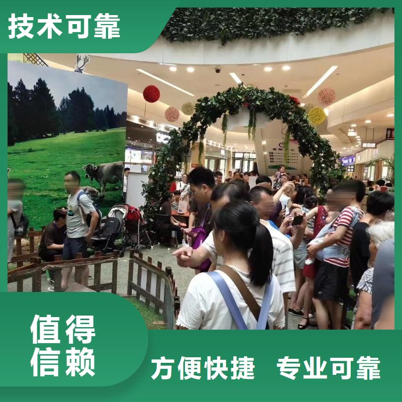 马戏团/羊驼水族海洋展遵守合同