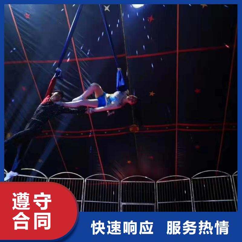 马戏团/羊驼_出租马戏表演24小时为您服务