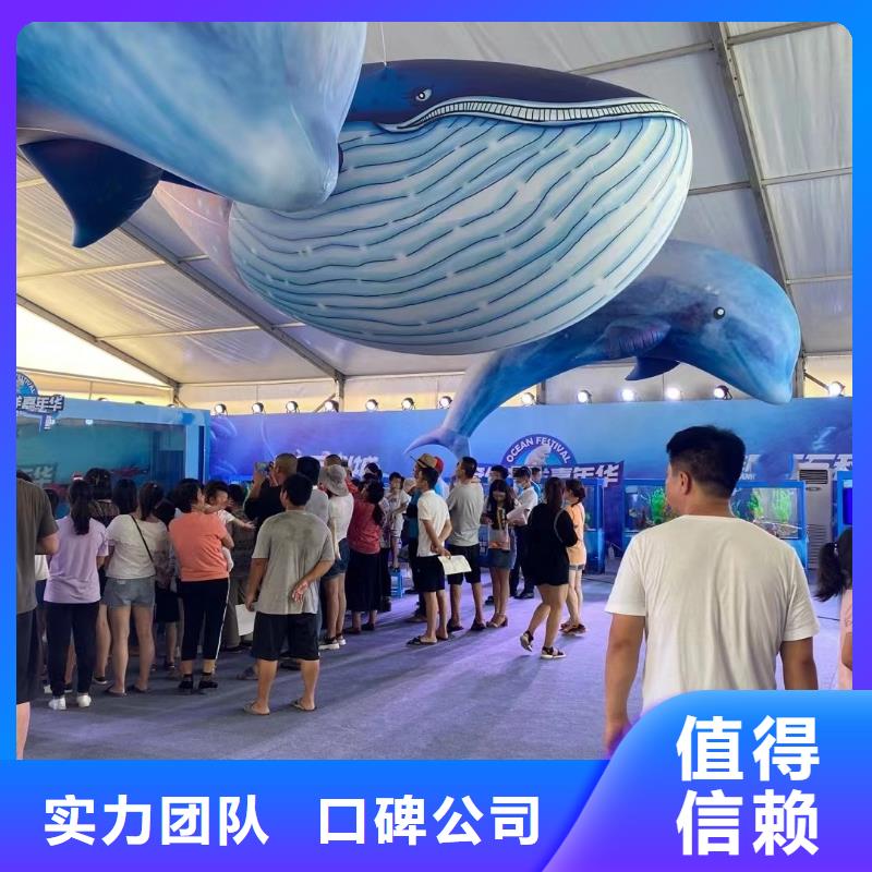 哪有出租海洋展的创意方案
