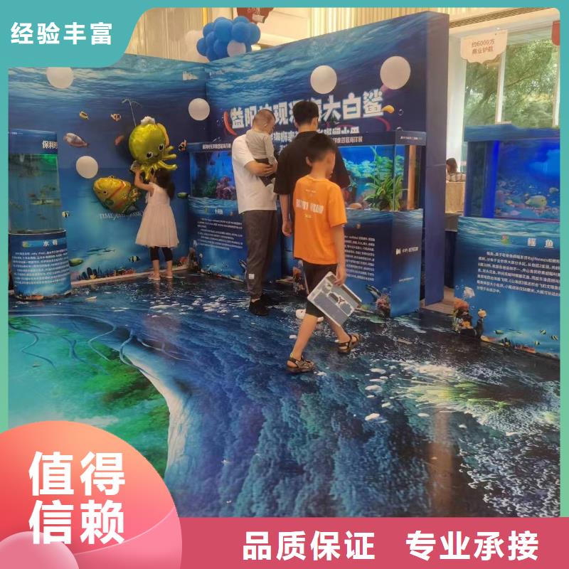 海洋主题动物表演,【活体羊驼租赁】高性价比