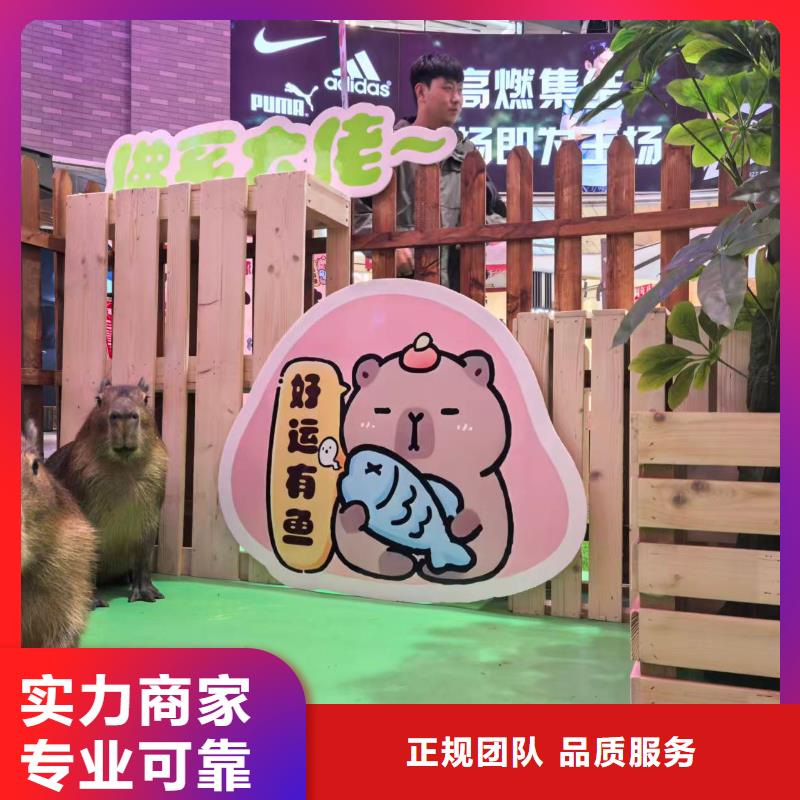 发货及时的企业团建公司