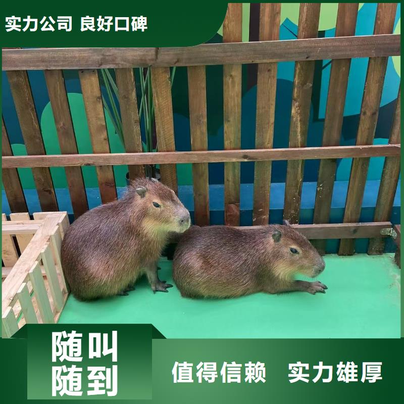 有现货的租赁资质核查品牌厂家