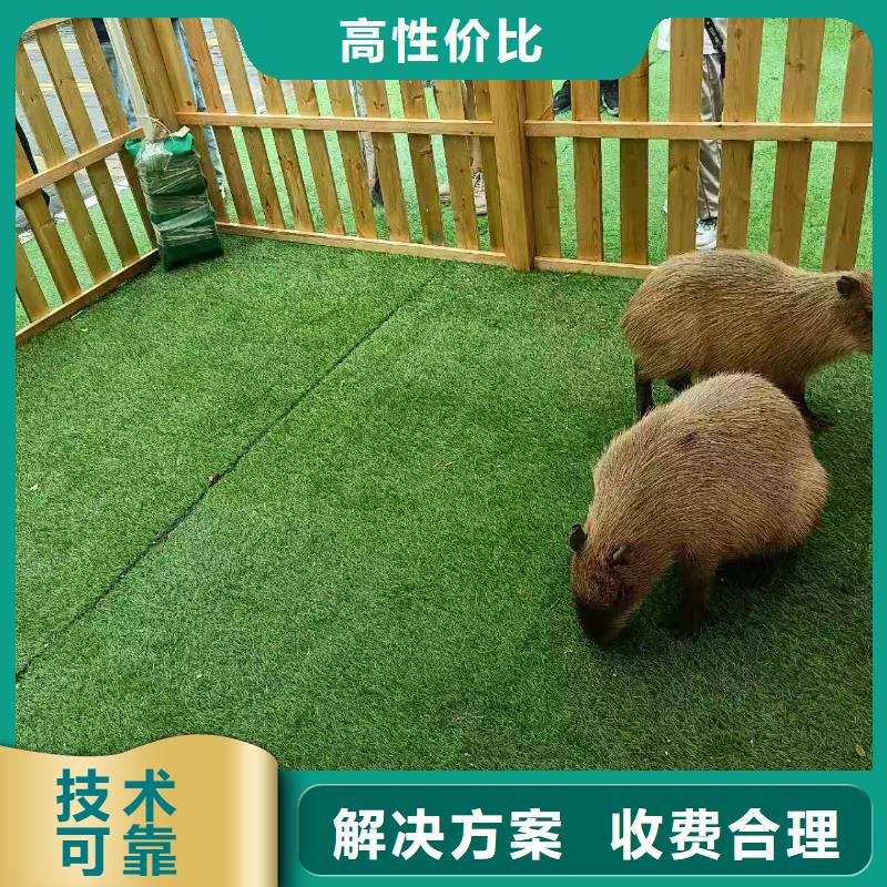 商场暖场保质保量