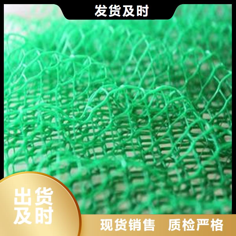 土工布经编涤纶土工格栅产地货源