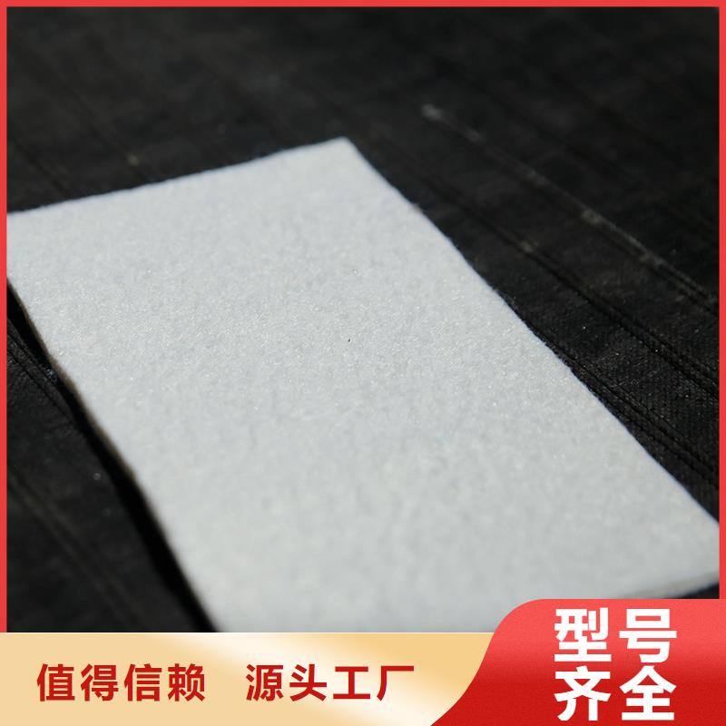 土工布 生态带一个起售