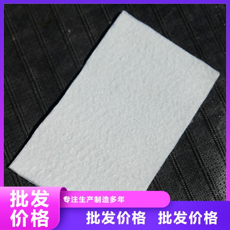 【土工布双向塑料土工格栅实力厂家直销】