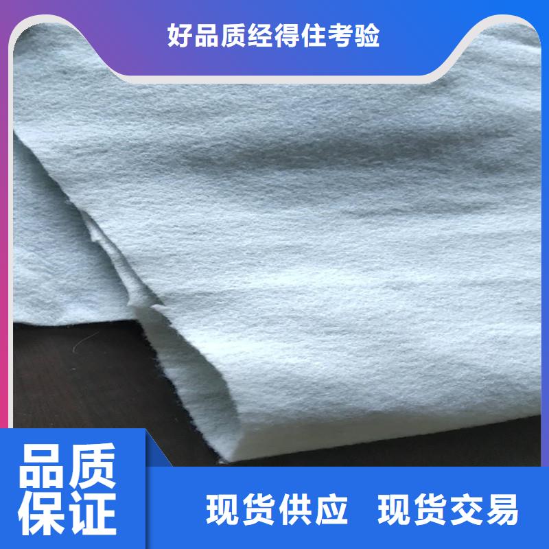 土工布 生态带一个起售