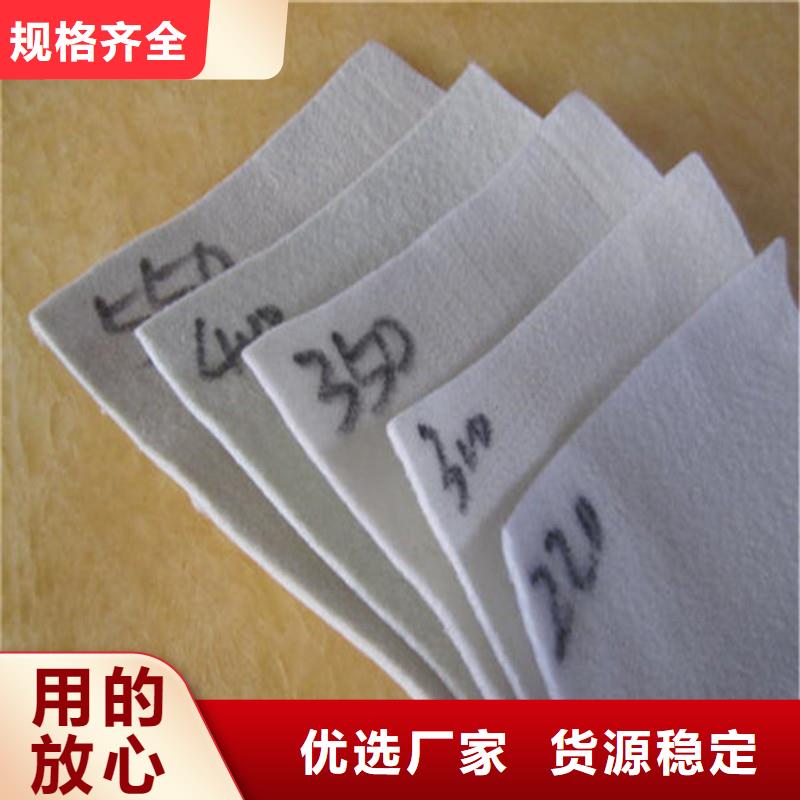 土工布经编涤纶土工格栅产地货源