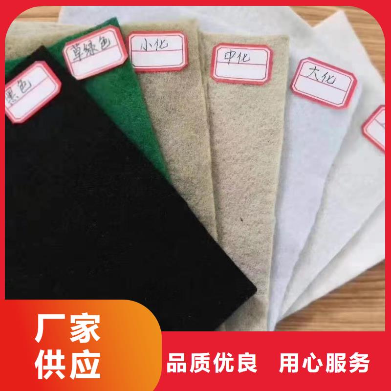 土工布经编涤纶土工格栅产地货源
