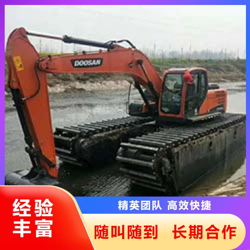 山东水陆挖掘机出租行业分析