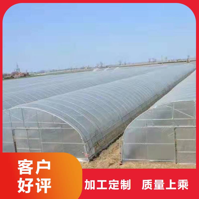 蔬菜大棚钢管源头厂家本地报价更优惠