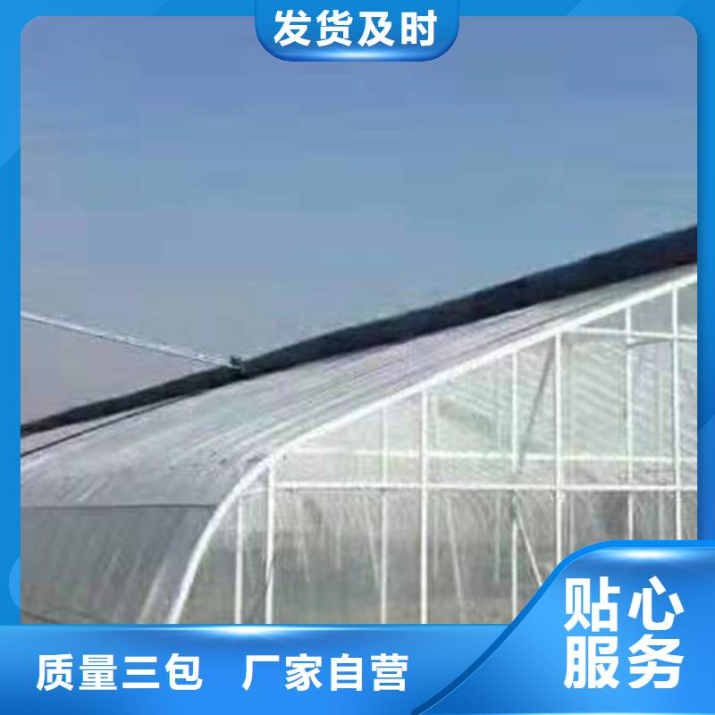 容城县蔬菜大棚无滴长寿膜工厂直销