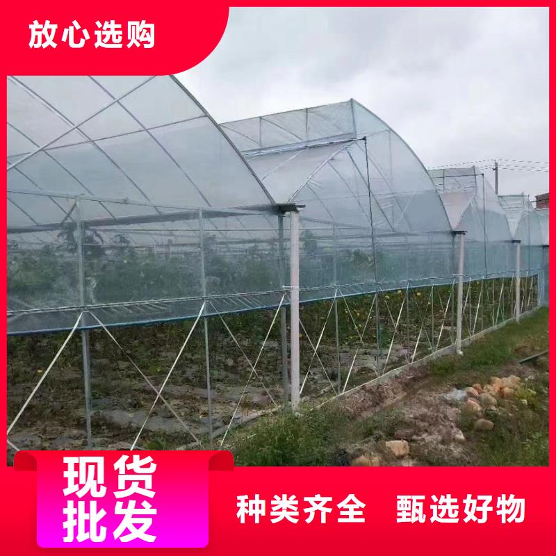 竞秀区GP832镀锌大棚钢管图片