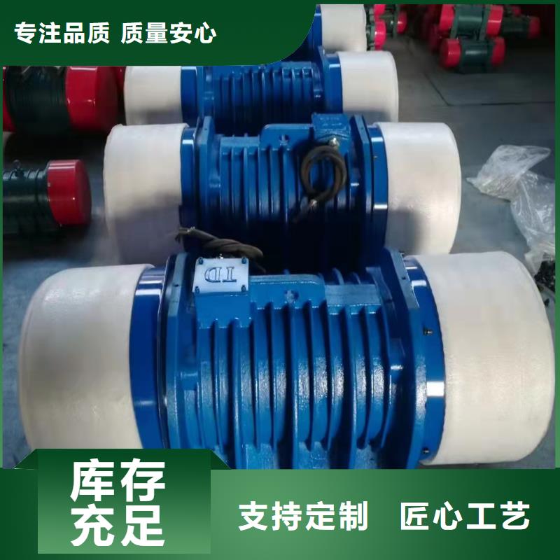 振动平台三相异步振动电机好品质经得住考验