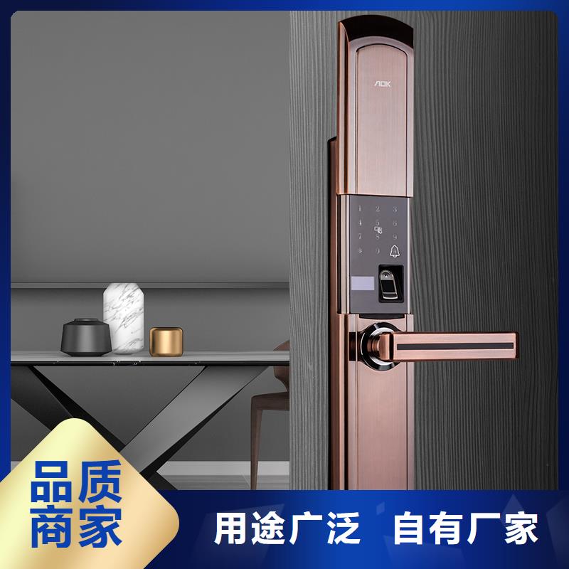 智能锁,3D人脸识别智能锁厂家技术完善