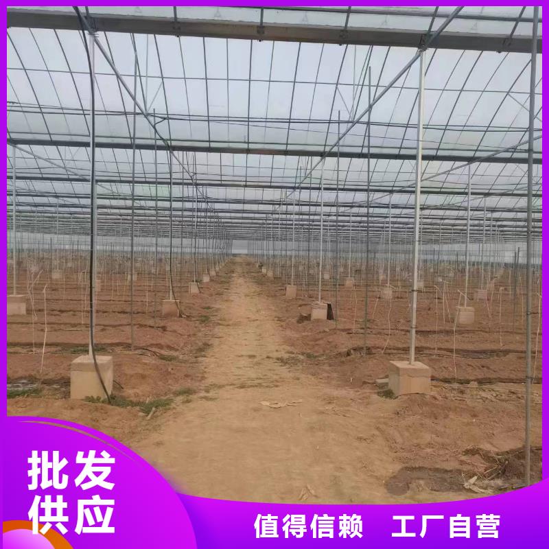 温室大棚温室大棚管产地批发