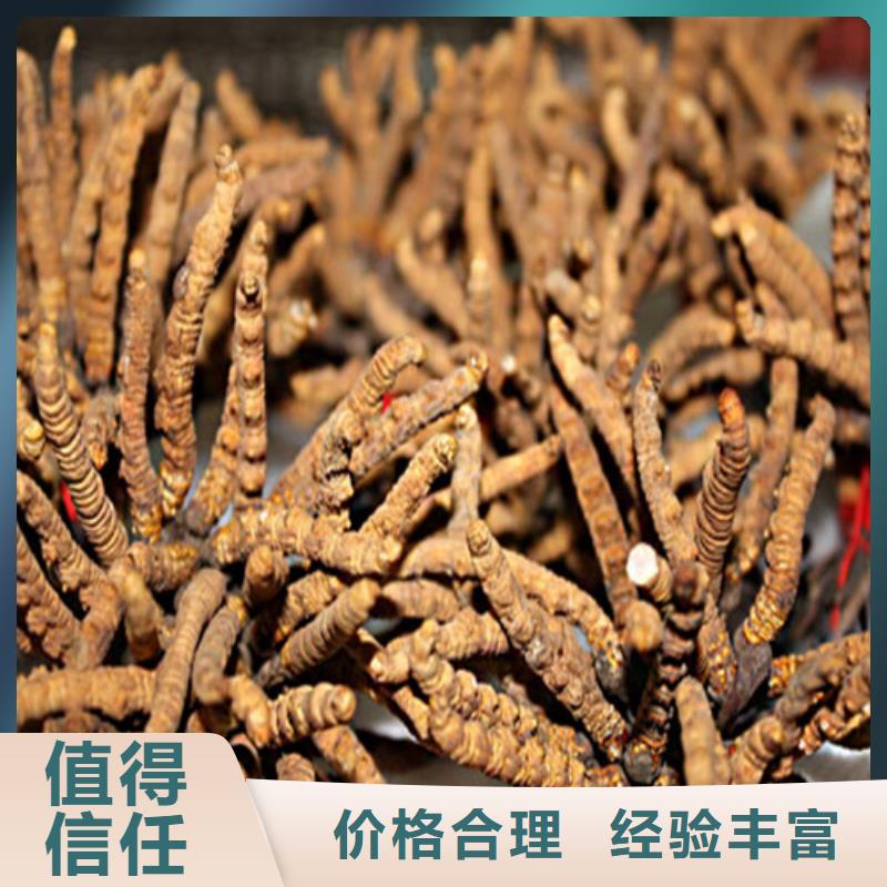 回收轩尼诗李察2025新排名一览