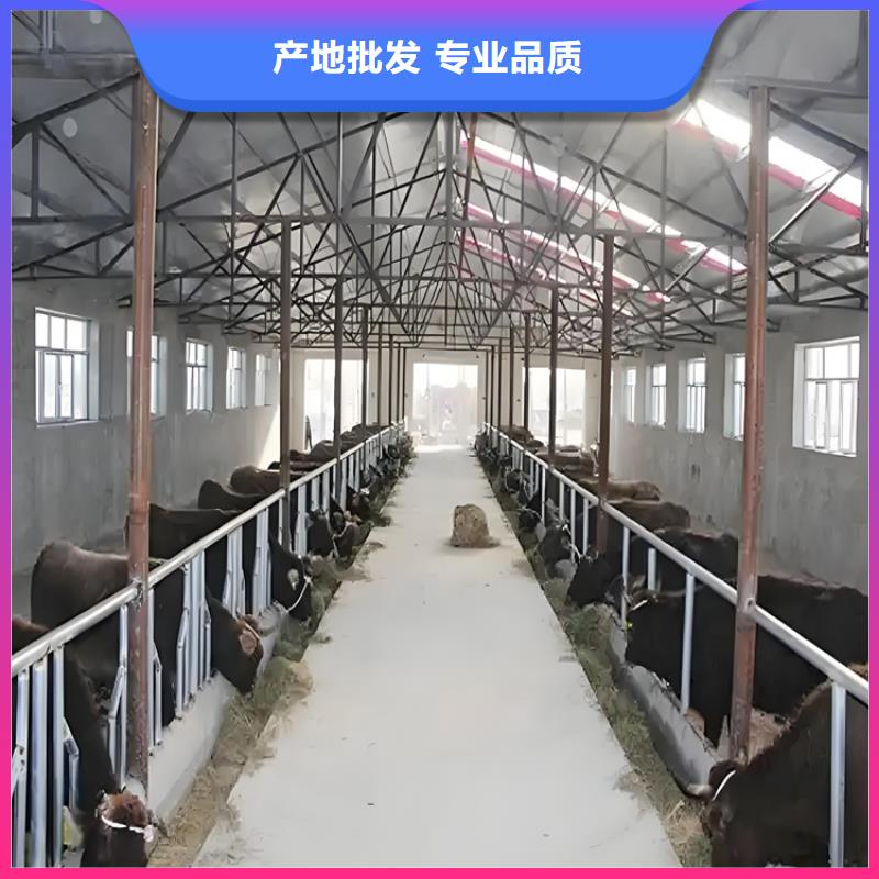 有现货的车辆人员自动消毒通道经销商