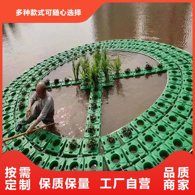 浮岛水生供应商-长期合作