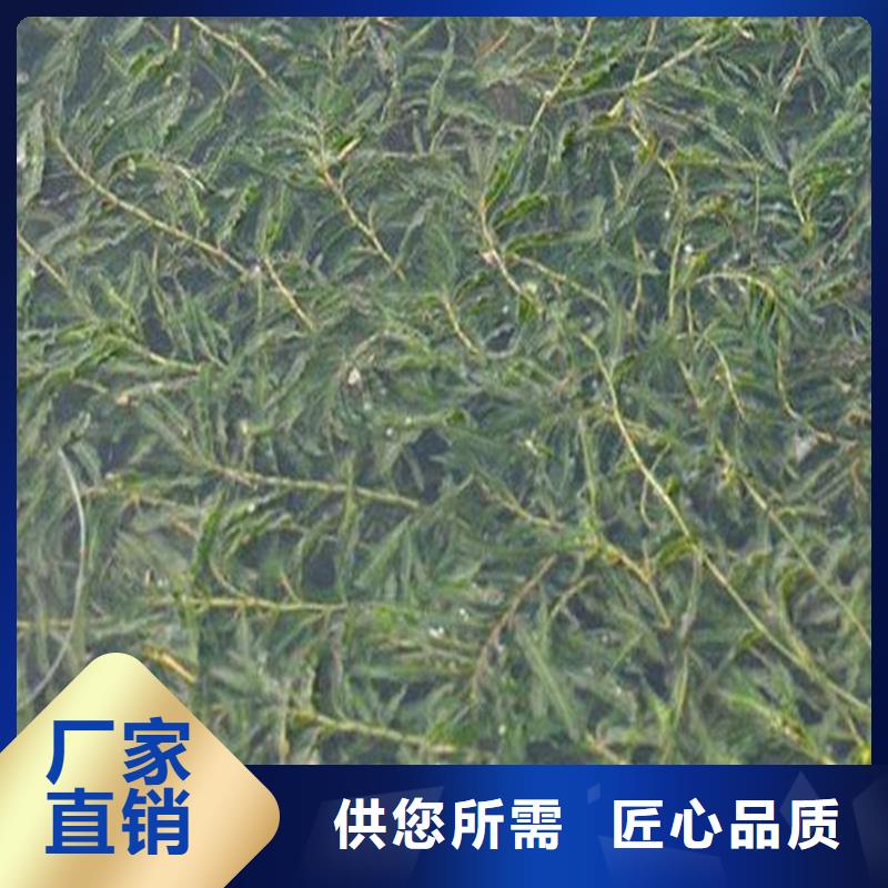 水污染治理服务至上