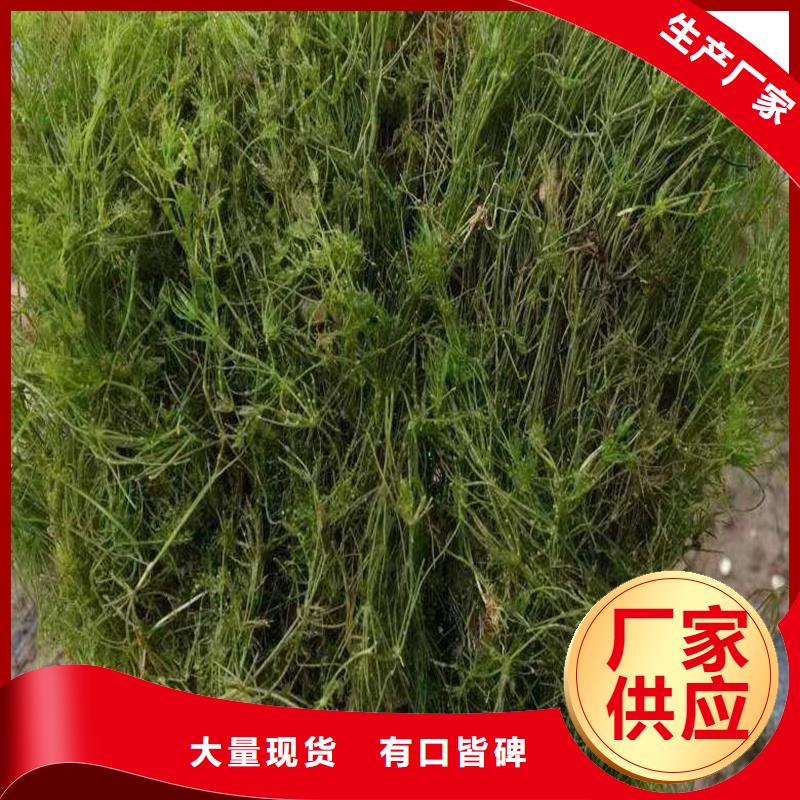 水面治理售后无忧大厂