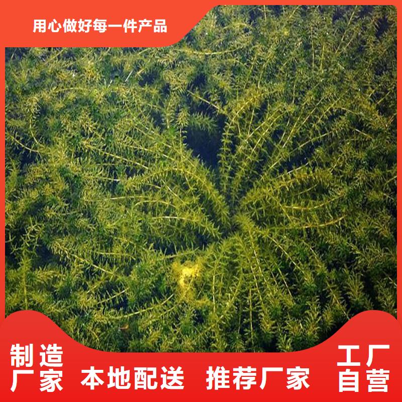 水质净化厂家价格合理