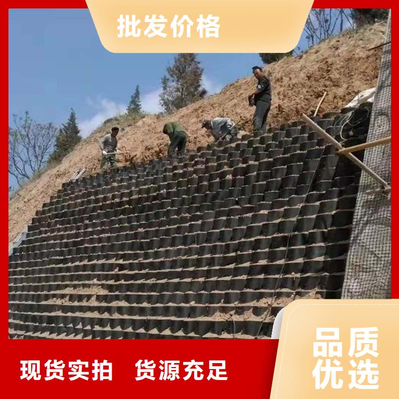 塑料土工格室生产厂家