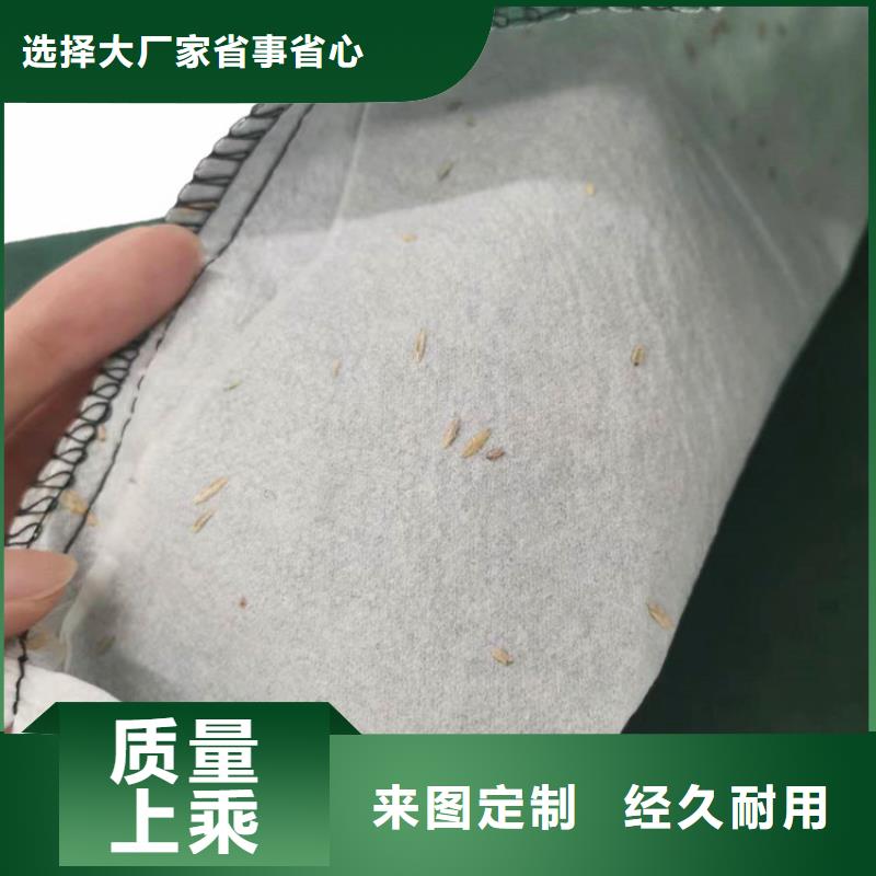 草籽生态袋可定制规格尺寸